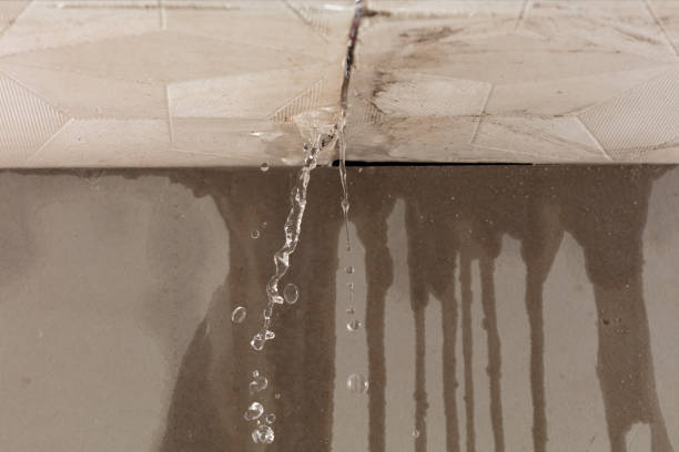 Professional Structural Drying technician working in Eden, UT